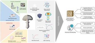 Virtualization of foods: applications and perspectives toward optimizing food systems